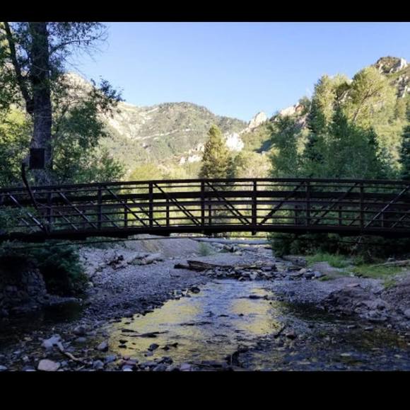 Meet your Posher, Darlene - Picture 1 of 1